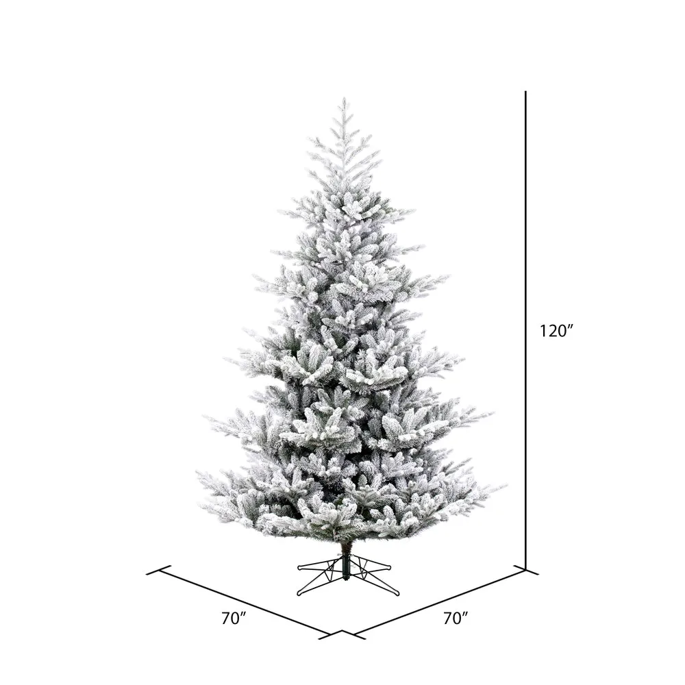 10' x 70" Flocked Hudson Fraser Fir Artificial Xmas Tree LED Warm White Lights