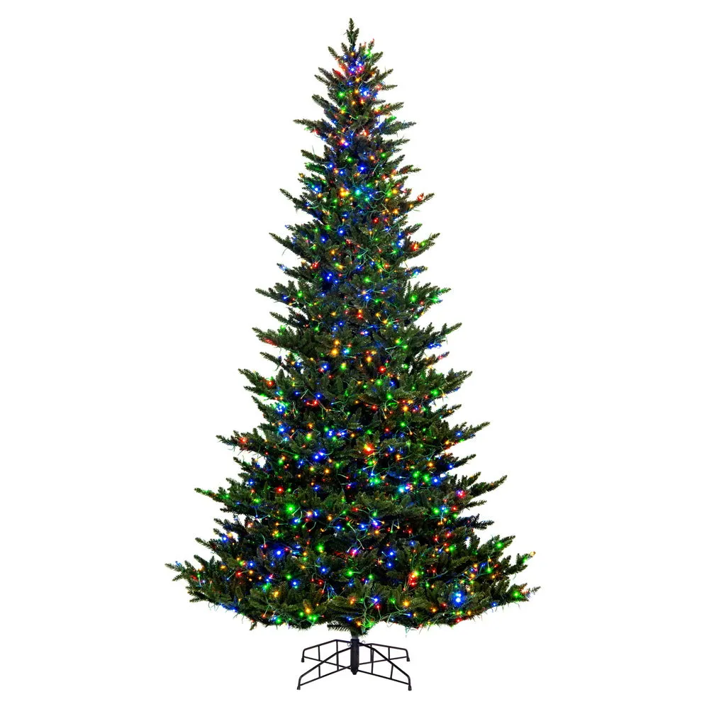 10' x 74" Natural Fraser Fir Artificial Xmas Tree 3mm LED Color Changing Lights