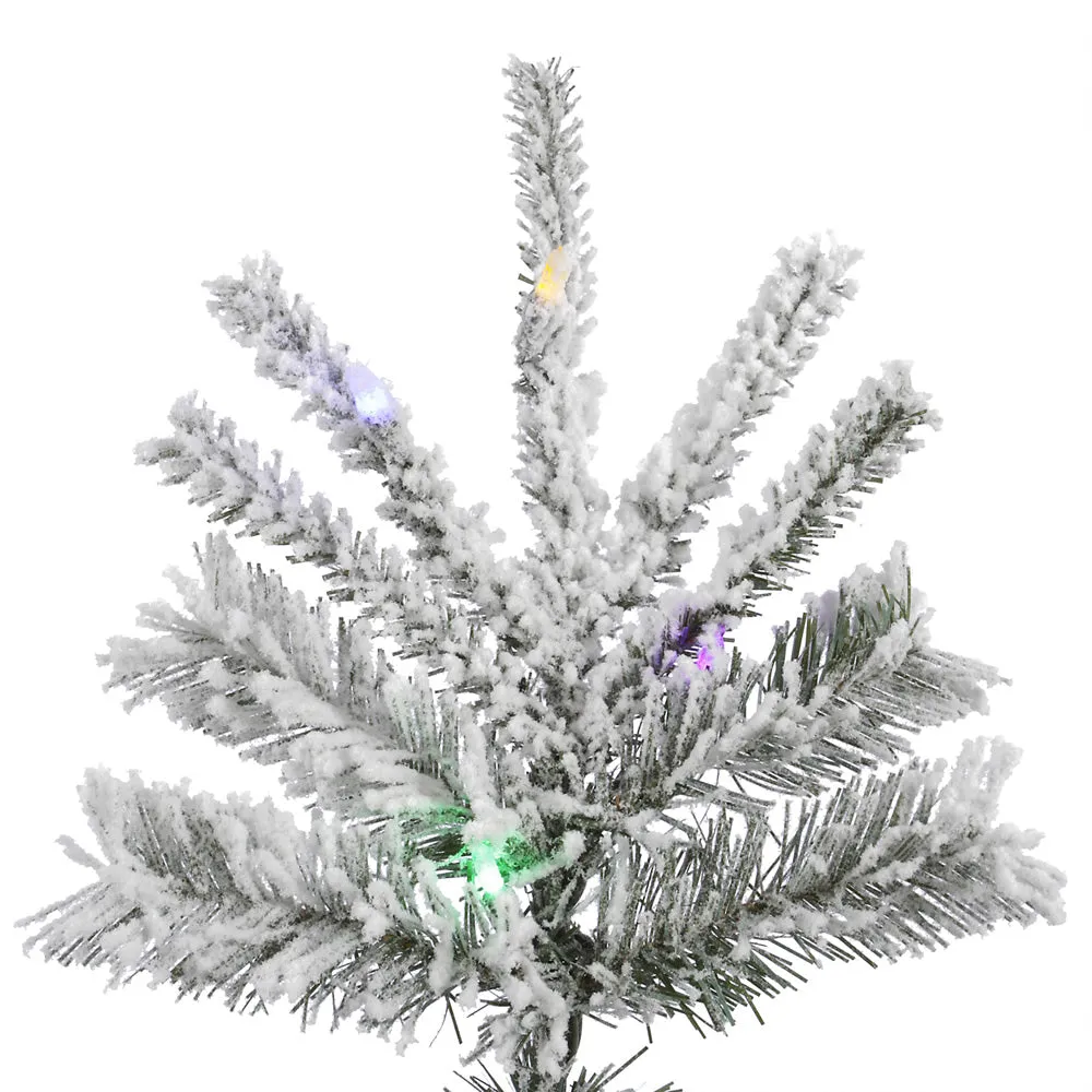 12' Flocked Sierra Fir Artificial Christmas Tree Colored LED Dura-Lit lights