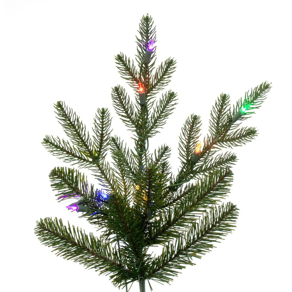 12' x 72" North Shore Fraser Fir Artificial Christmas Tree LED Colored Lights