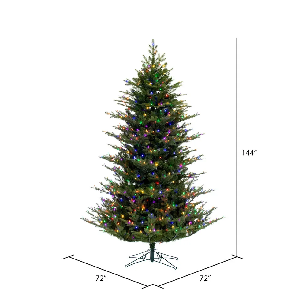 12' x 72" North Shore Fraser Fir Artificial Christmas Tree LED Colored Lights