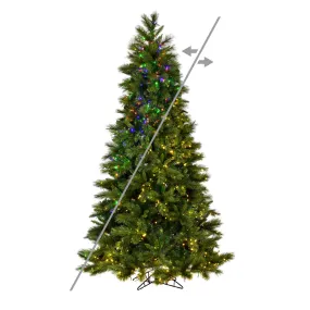 12' x 73" Brighton Pine Artificial Christmas Tree LED Color Changing Lights