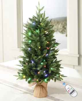 3 ft Small Mini Prelit Artificial Christmas Tree with Color LED Lights