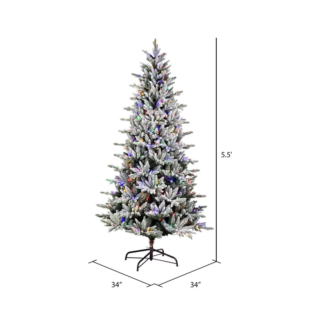 5.5' x 34" Flocked Vail Pine Artificial Christmas Tree Colored Dura-Lit LED