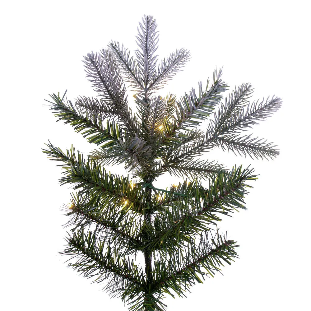 5.5' x 36" Frosted Douglas Fir Artificial Pre-Lit Xmas Tree Warm White 3mm LED