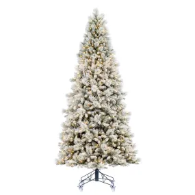 6.5' x 42" Flocked Jackson Pine Artificial Pre-Lit Xmas Tree Warm White Lights.