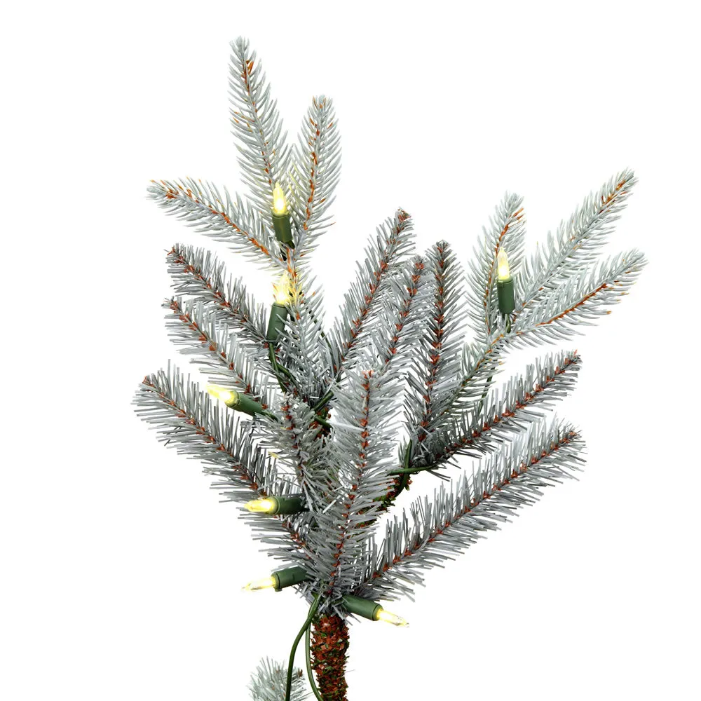 6.5' x 51" Douglas Blue Fir Artificial Christmas Tree Warm White Dura-lit LED