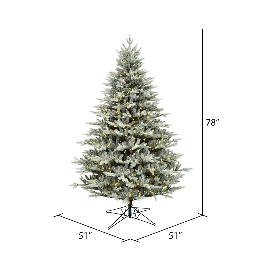 6.5' x 51" Douglas Blue Fir Artificial Christmas Tree Warm White Dura-lit LED