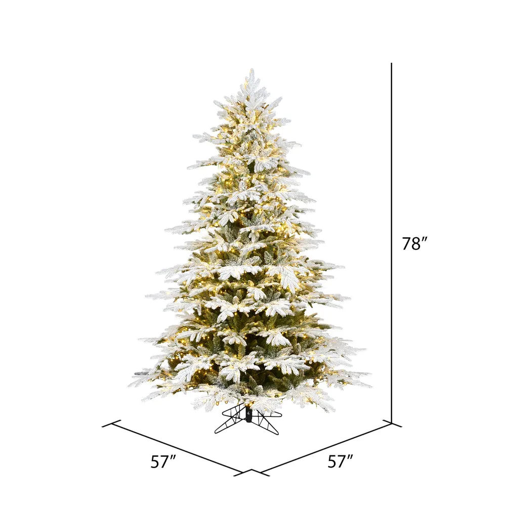 6.5'x57" Kamas Fraser Artificial Xmas Tree Multi-color Dura-Lit LED Mini Light