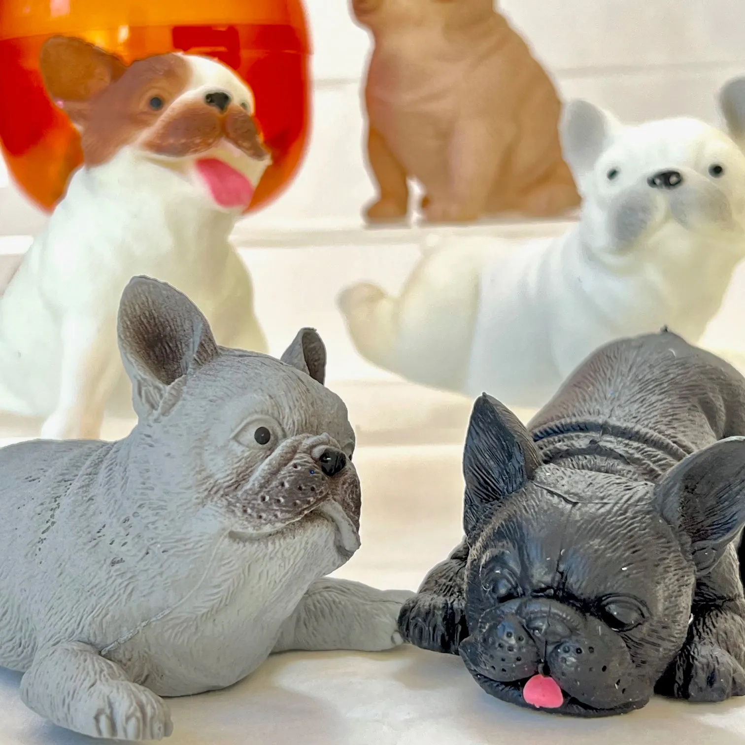 70298 French Bulldog Figurine Capsule-5