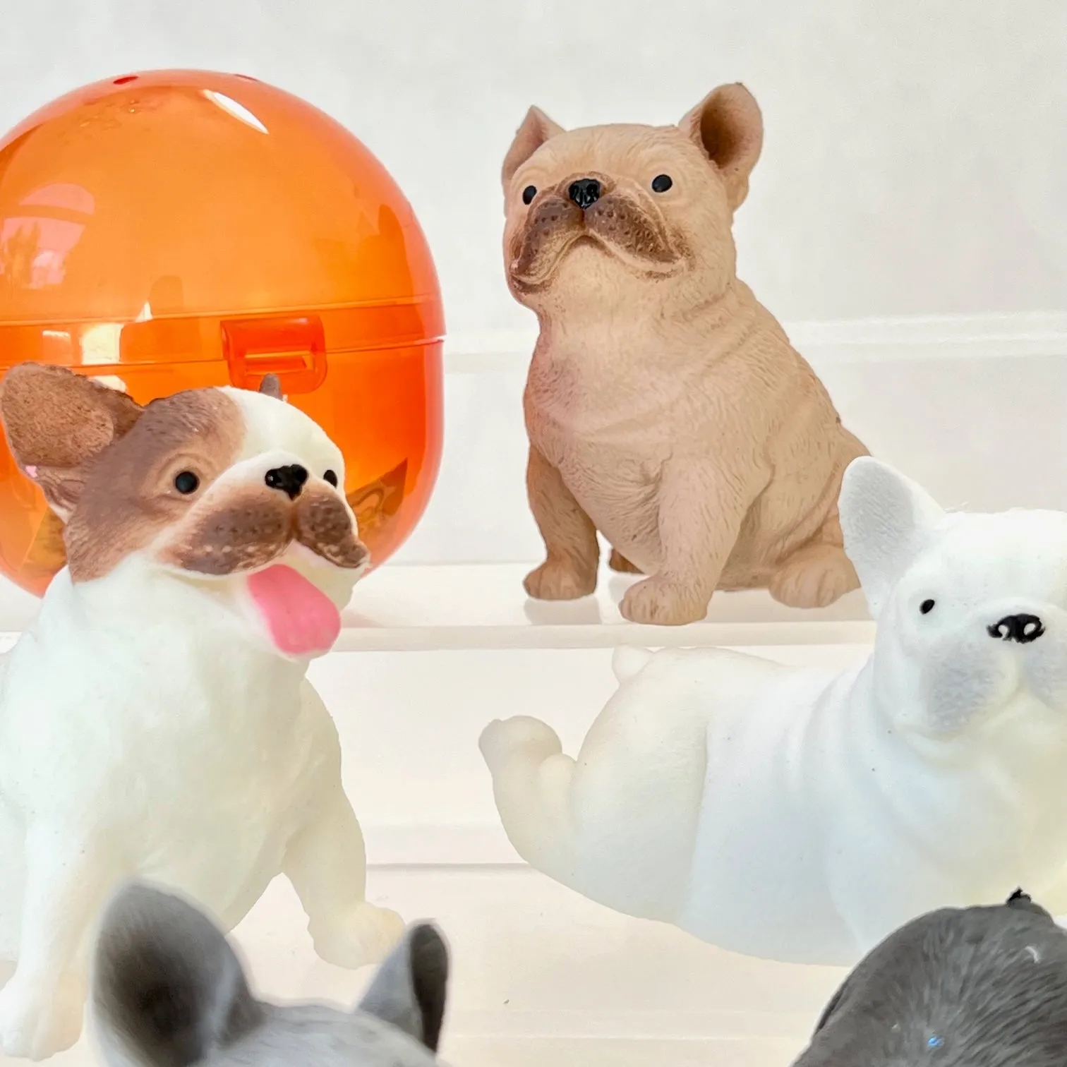 70298 French Bulldog Figurine Capsule-5