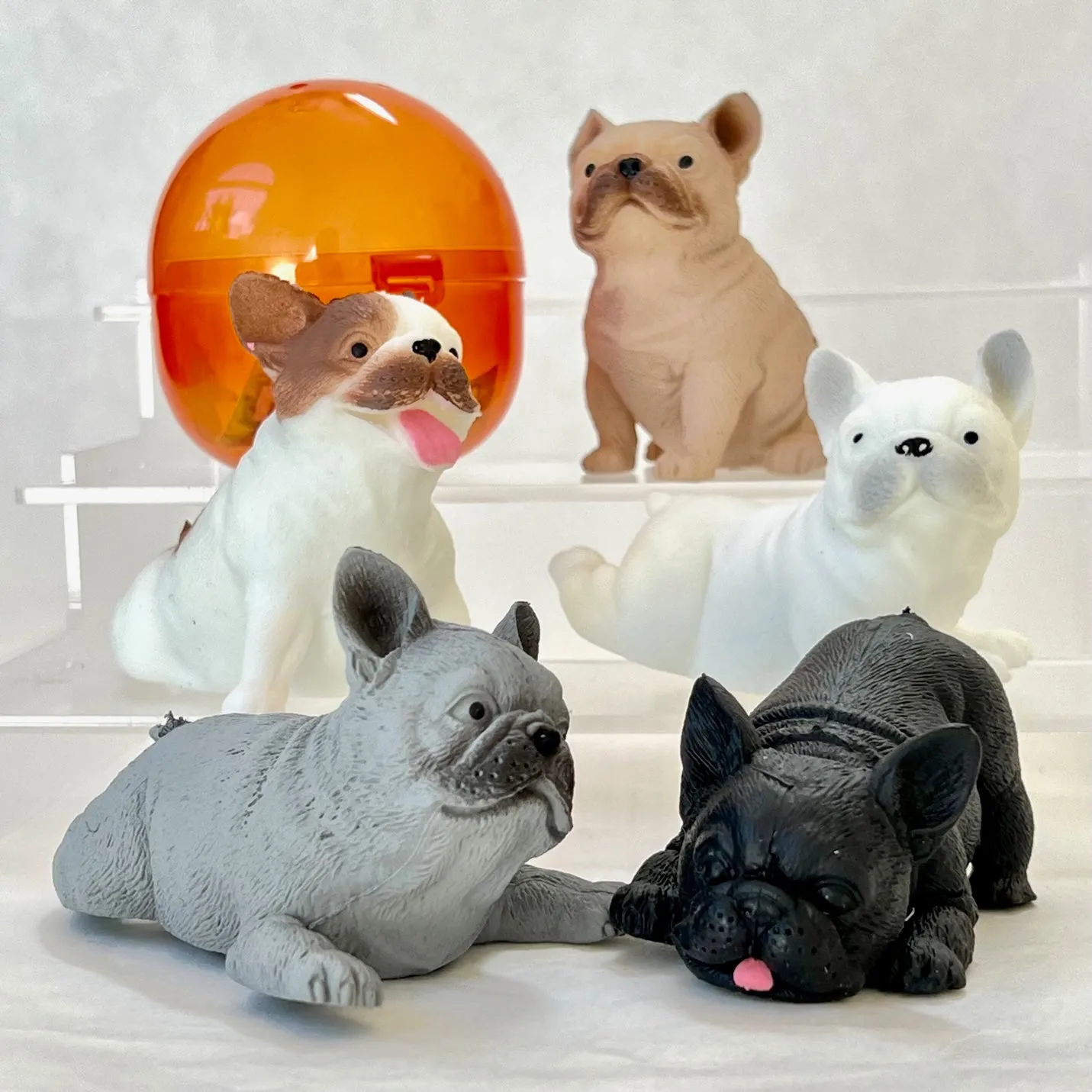 70298 French Bulldog Figurine Capsule-5