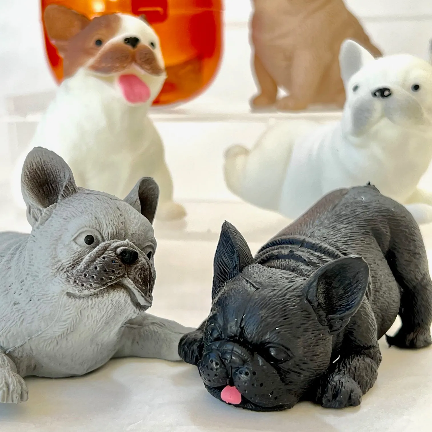 70298 French Bulldog Figurine Capsule-5