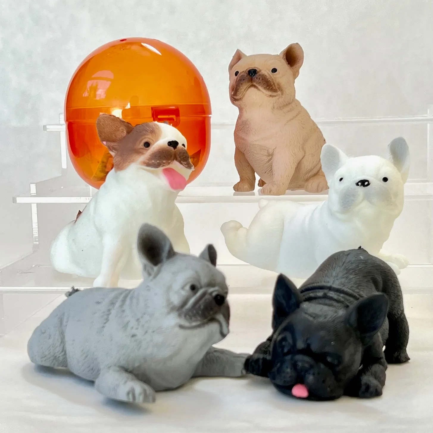 70298 French Bulldog Figurine Capsule-5