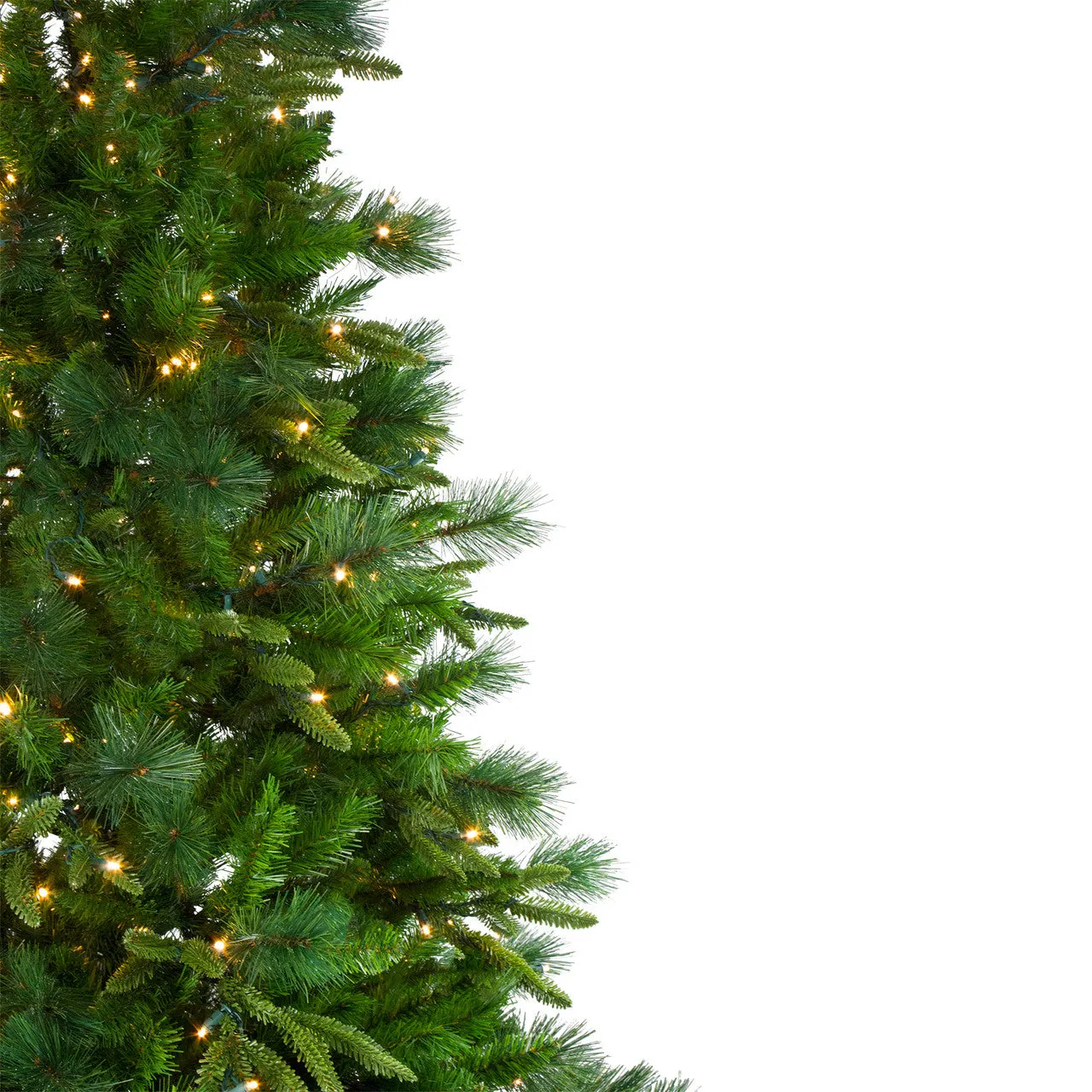 9' Pre-Lit Full Mixed Rosemary Emerald Angel Pine Artificial Christmas Tree - Clear LED Lights