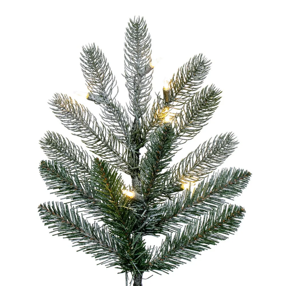 9' x 63" Frosted Danbury Spruce Artificial Pre-Lit Xmas Tree Warm White Lights.