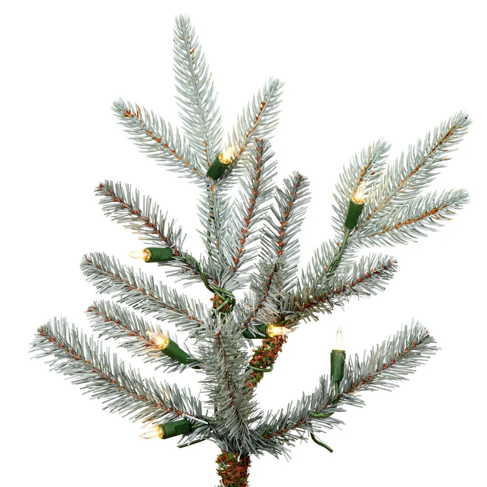 9' x 68" Douglas Blue Fir Artificial Christmas Tree Clear Dura-lit Lights