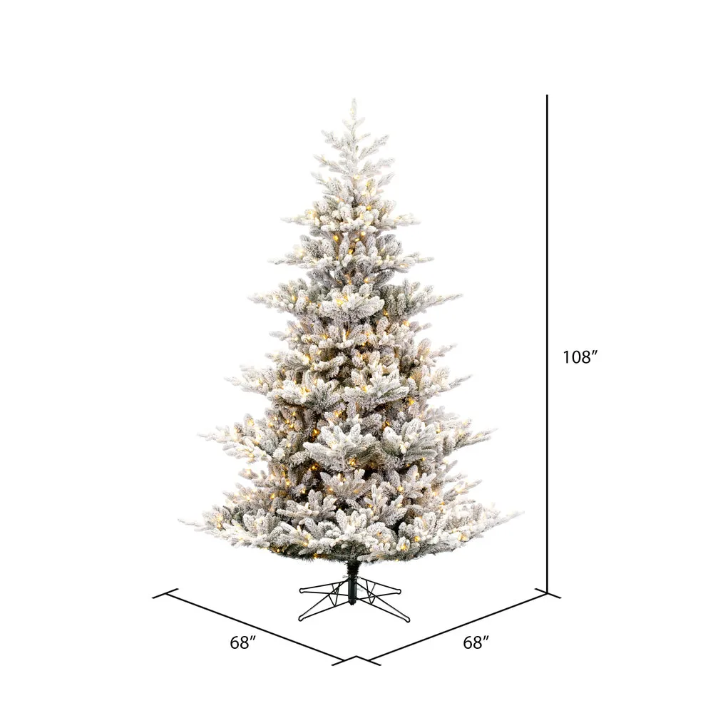 9' x 68" Flocked Hudson Fraser Fir Artificial Xmas Tree LED Warm White Lights