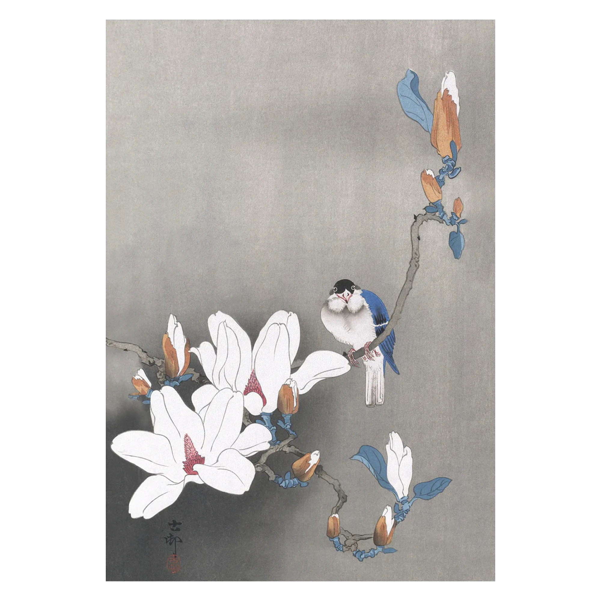 Art Print - Bird on Magnolia