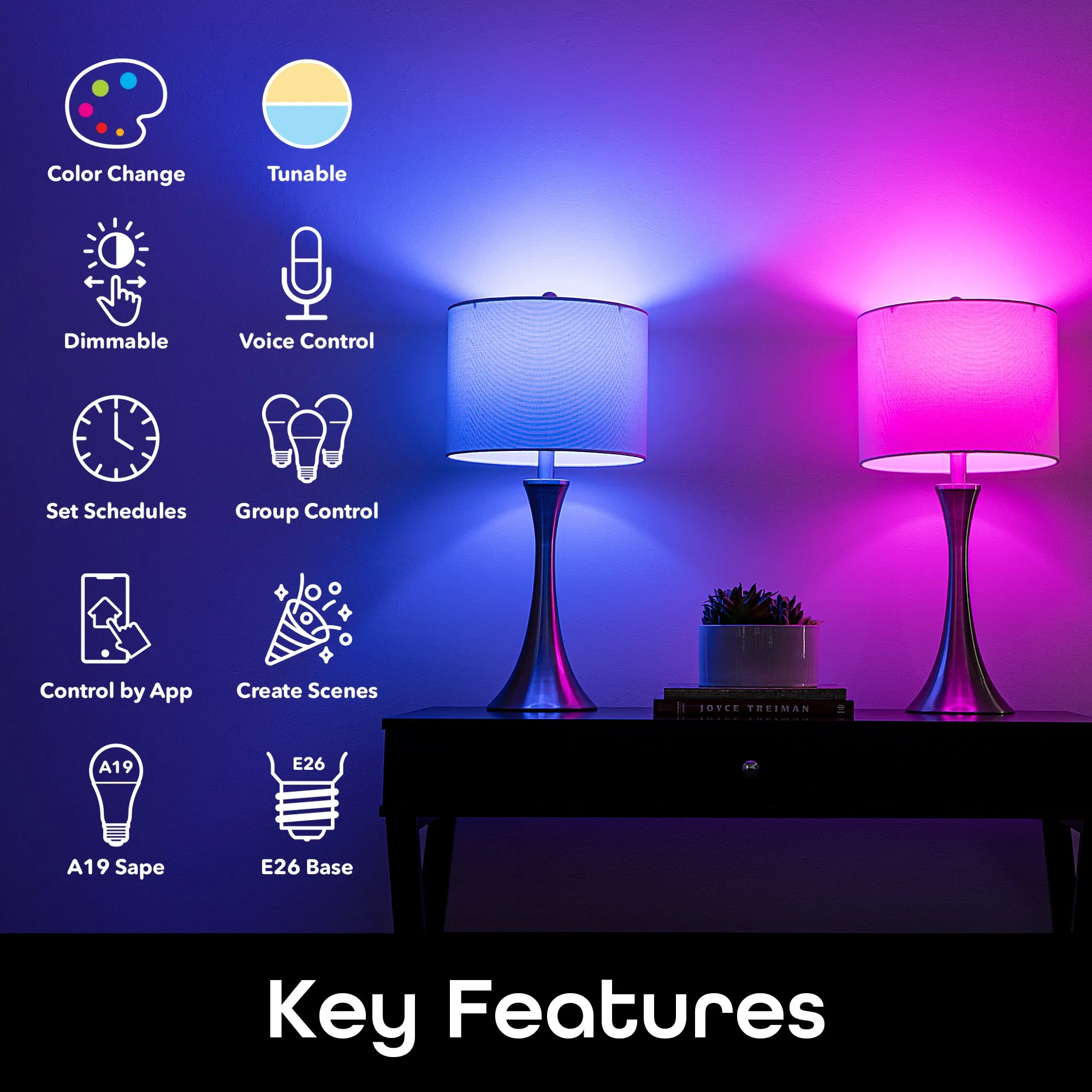 Color Lighting Bundle