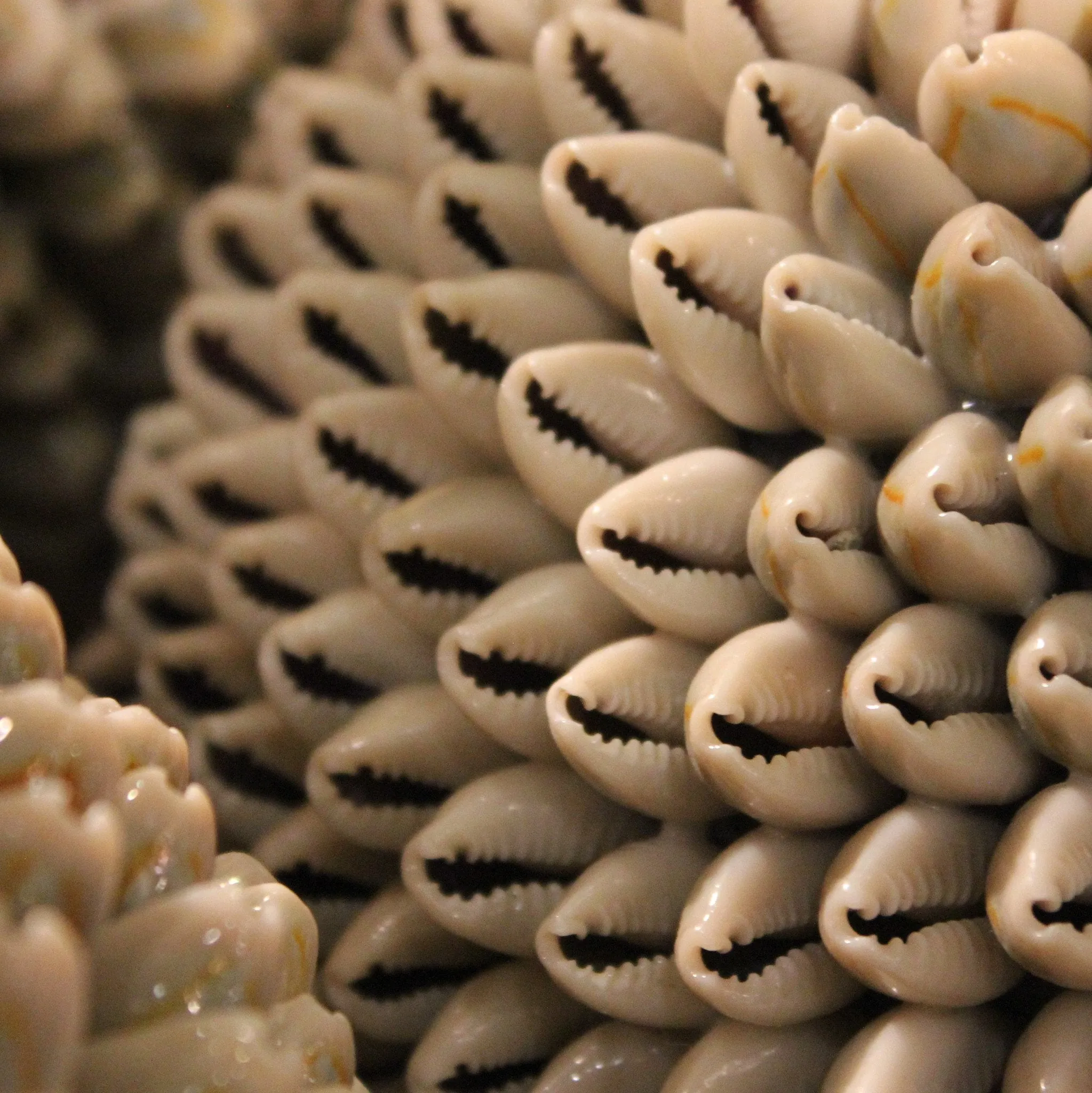 Decorative Ringtop Cowrie Shell Ball - Three Sizes