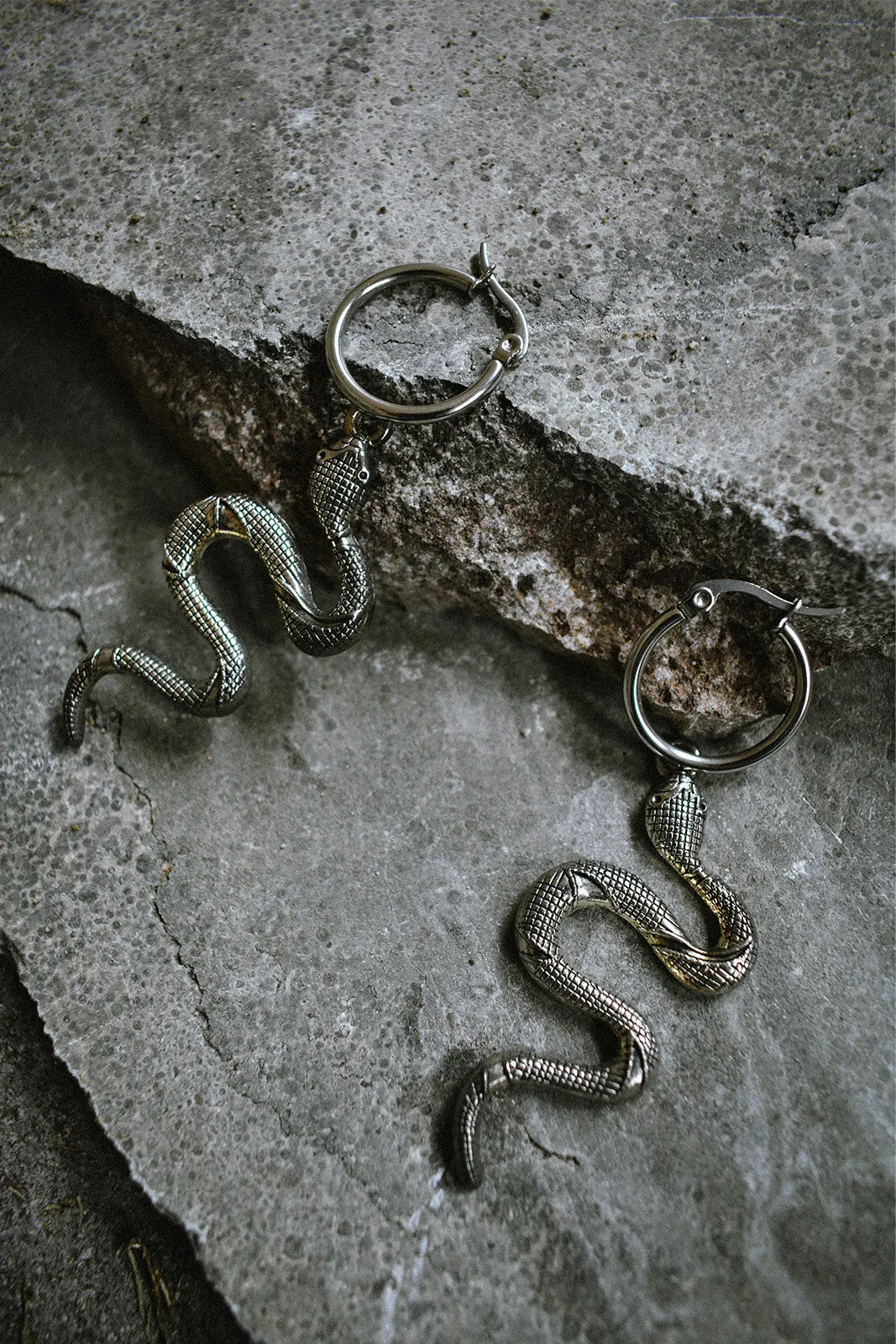 Janis Earrings Small Silver