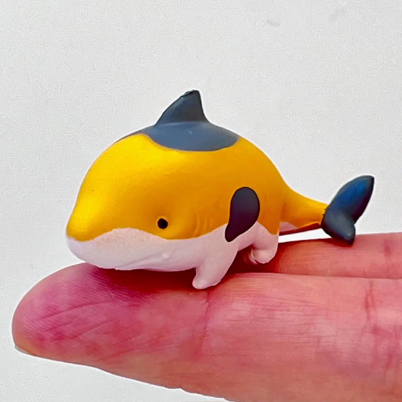 X 70348 Cat Shark Figurine Capsule-DISCONTINUED