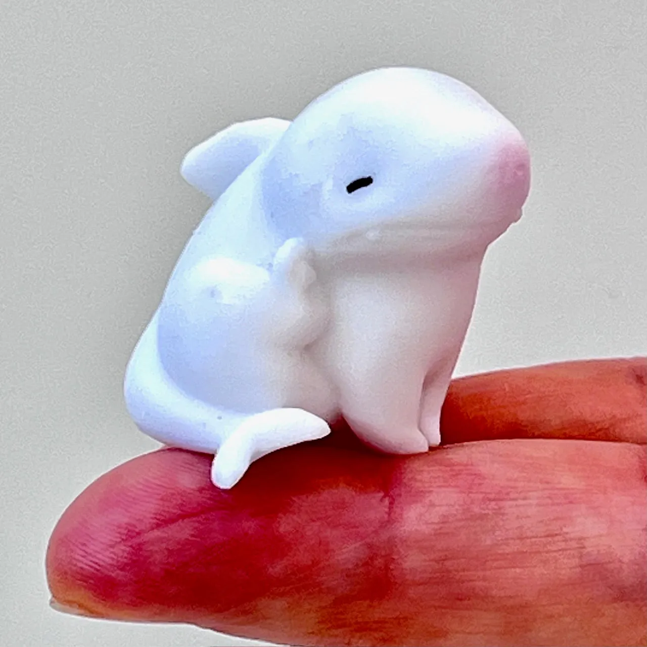 X 70348 Cat Shark Figurine Capsule-DISCONTINUED