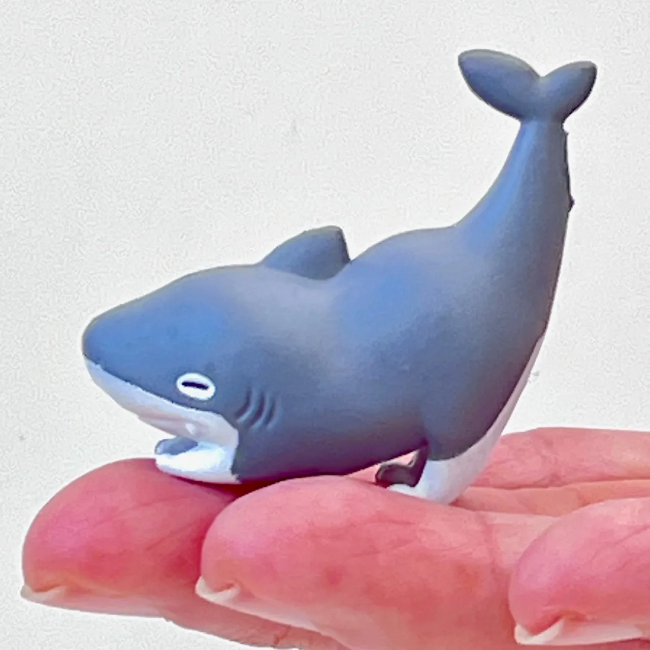 X 70348 Cat Shark Figurine Capsule-DISCONTINUED