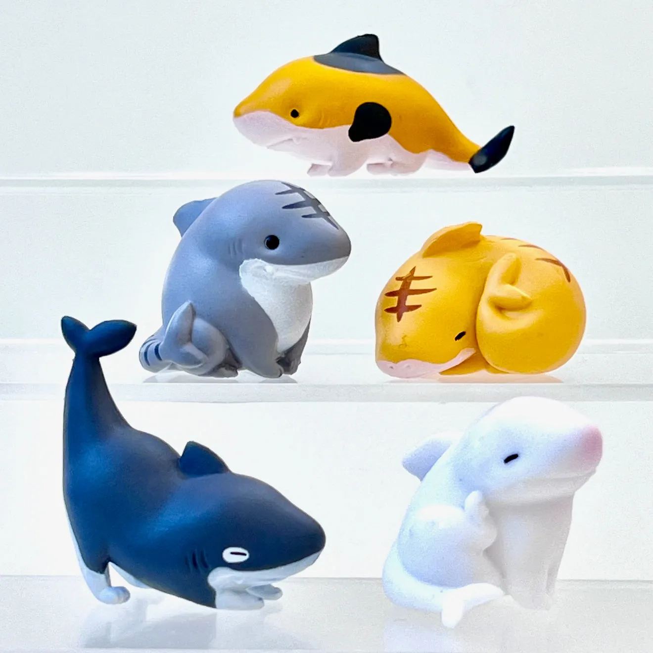 X 70348 Cat Shark Figurine Capsule-DISCONTINUED