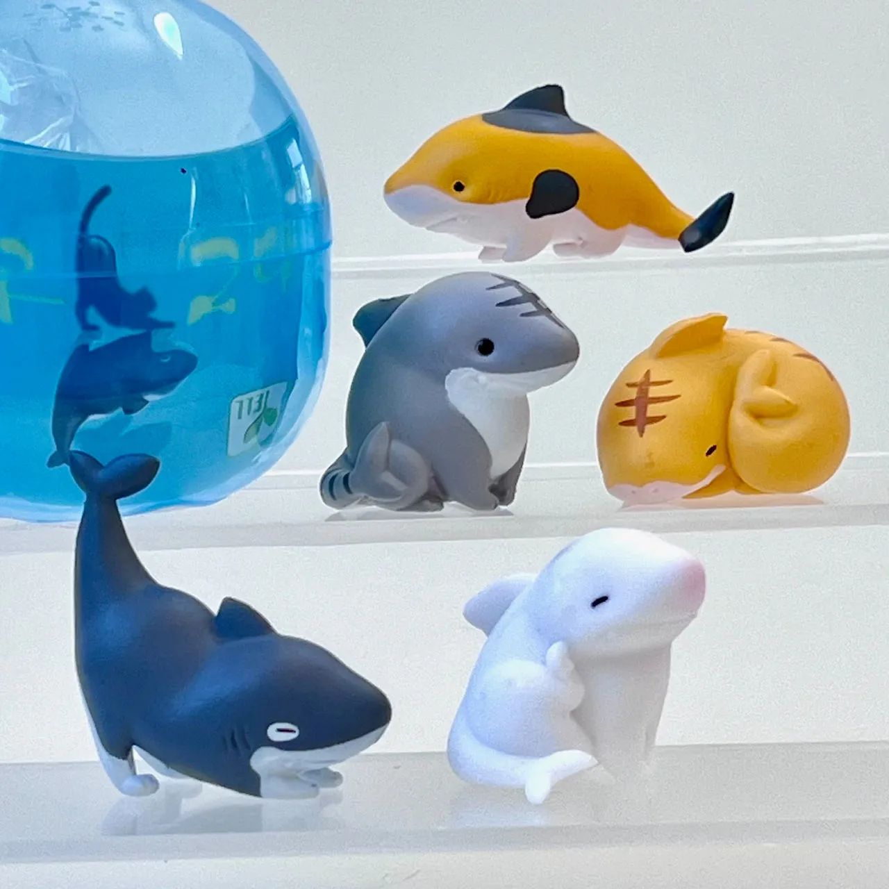 X 70348 Cat Shark Figurine Capsule-DISCONTINUED